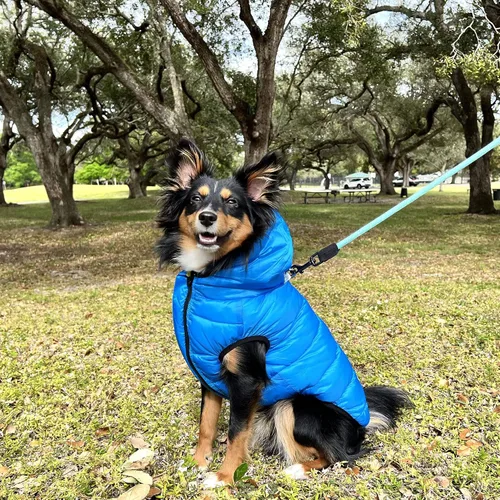 Vista 2 de Pawtitas Chaqueta reversible resistente al viento para perro, resistente al agua, abrigo de perro azul y amarillo para clima frío, tamaño de raza