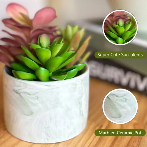 Vista 2 de Plantas artificiales, bonitas suculentas coloridas en maceta de cerámica, plantas falsas, flores en maceta para el hogar, sala de estar, oficina