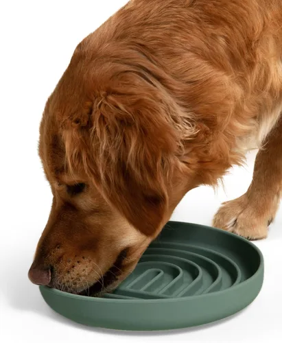 Vista 27 de Should We Go? Alimentador lento para perros y gatos, el tazón Slowdown de silicona, solución para comer lentamente con diseño moderno de alfombrilla