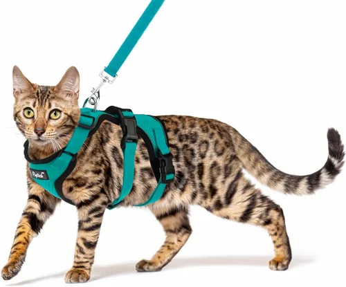 Vista 9 de PUPTECK Juego de arnés y correa para gato a prueba de escape para caminar, chaleco de malla transpirable arnés ajustable para gatos cachorros Negro
