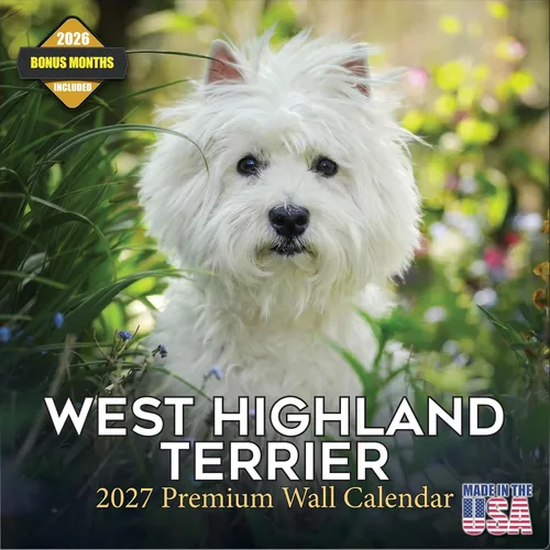 Vista 209 de Calendario de Lebrel Afgano 2025 2026, calendario mensual de pared de raza canina, 12" x 18" abierto, papel grueso sin traspaso, ideal para regalo