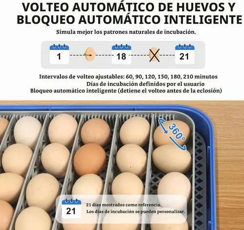 Vista 7 de Serie IV - Incubadora de 70 huevos para criadores, humedad precisa basada en sensores + control de temperatura, separador de pollitos, espaciado