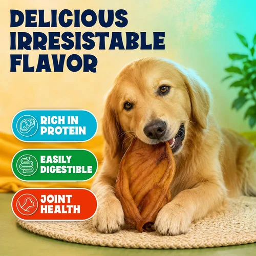 Vista 6 de FETCHERONI Orejas de cerdo enteras para masticables para perros, golosinas duraderas para perros, L, 30 unidades Larga duración, un ingrediente