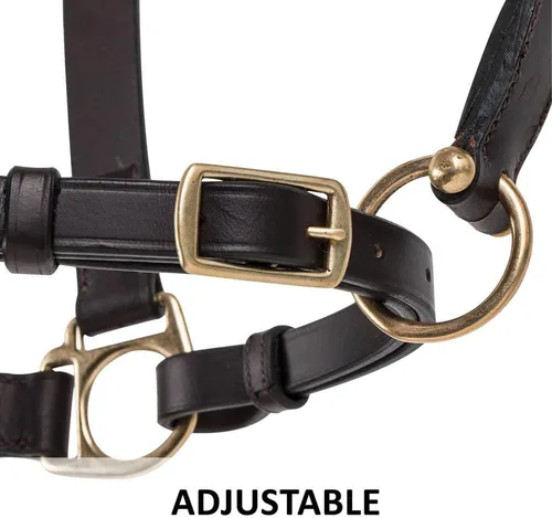 Vista 6 de Dura-Tech Premier Lancaster - Cabestro de cuero para caballos Cabestro de cuero económico simple con ajuste ajustable y herrajes de latón macizo