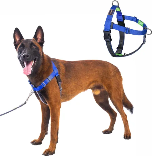 Vista 9 de Freedom - Arnés para perro sin tirones, fácil de caminar, deja de tirar con dos anillos en D de acero inoxidable, cómodo, etiquetas de instrucciones