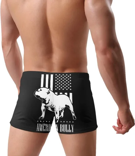 Vista 4 de PARKNOTES Bañador de langosta de acuarela para hombre