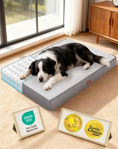 Vista 22 de OhGeni Cama ortopédica para perros pequeños, espuma viscoelástica 01-gris