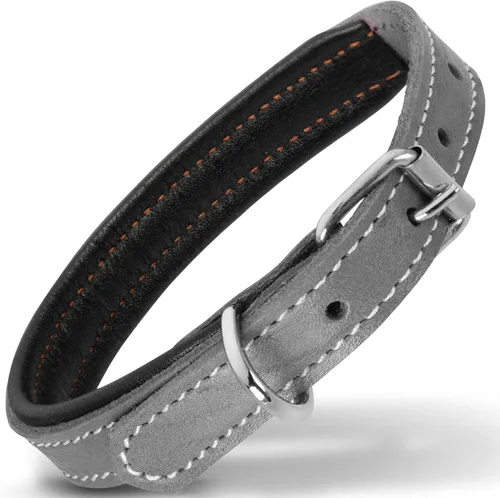 Vista 36 de Filbert Collar de cuero para perro, collar de cuero genuino para perros pequeños, acolchado de lujo, fuerte, ajustable para todas las razas, hebilla