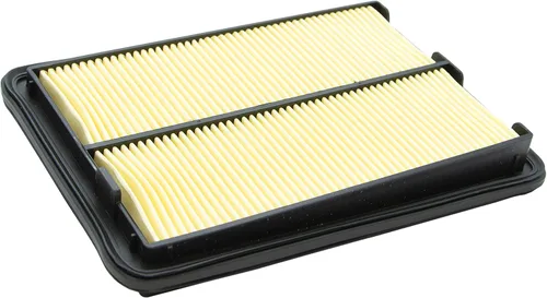 Vista 2 de EcoGard, filtro de aire especial para Nissan, XA10423
