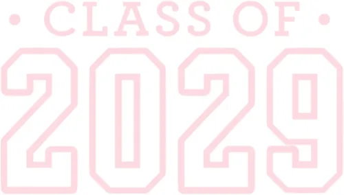Vista 27 de Calcomanía para planchar de clase 2029, parche de camiseta de clase superior, transferencia de calor, calcomanía gráfica de camiseta HTV