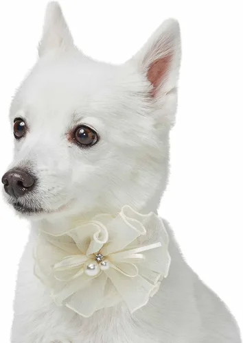 Vista 11 de Blueberry Pet Collar de perro ajustable My Little Princess 2022 con malla bordada y pajarita, azul bebé, talla XS