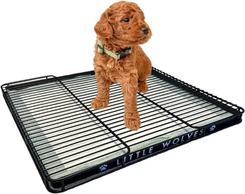 Vista 9 de Little Wolves Bandeja para orinal para cachorros, 22 x 22 pulgadas, bandeja de entrenamiento resistente para cachorros y perros pequeños, fácil