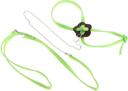 Vista 4 de Adjustable Bird Harness 3.94 Ft Long Leash Kit Outdoor Flying Training Rope for Small Birds Parrots Anti Toys African Grey for Small Parrots for