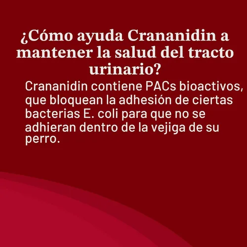 Vista 9 de Nutramax Laboratories Crananidin Extracto de Arándano Suplemento para la Salud del Tracto Urinario para Perros, 75 Tabletas masticables