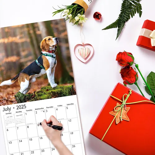 Vista 6 de Calendario de pared 2026, calendario 2026, noviembre de 2025 a diciembre de 2026, calendario de pared Beagles, 12 x 24 pulgadas abierto, página