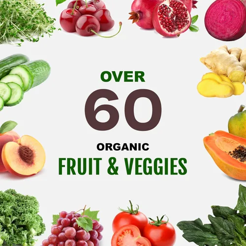Vista 5 de Proteína vegana deportiva en polvo de chocolate, 20 porciones, 1.06 oz de proteína a base de plantas, VELOSITOL, BCAAs, verduras y frutas orgánicas