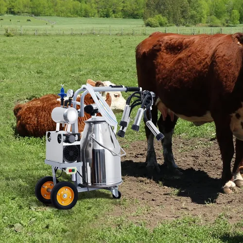 Vista 7 de ordeñadora eléctrica de la vaca 6.6Gal, ordeñadora portátil del acero