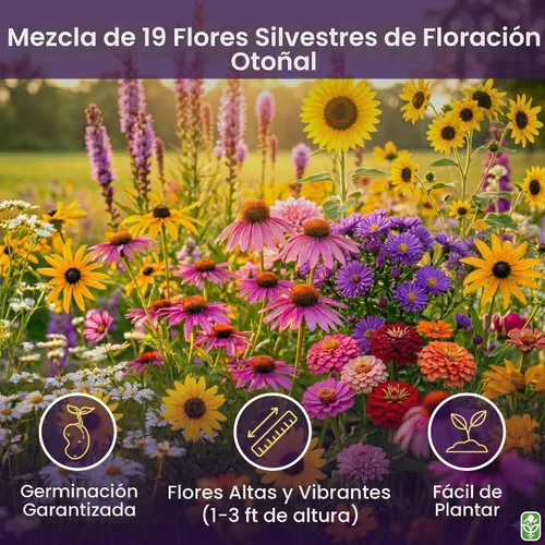 Vista 2 de Mezcla otoñal de flores silvestres