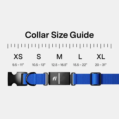 Vista 5 de Nuevo Collar Rastreador Inteligente para Perros de la Serie Fi 3+ [Miembrosía de 12 Meses Incluida] Rastreador GPS para Perros con Monitoreo