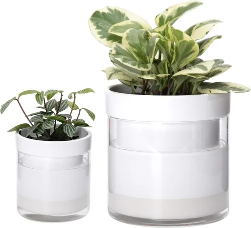 Vista 15 de Phoenix Vine Maceta de riego automático de 4 pulgadas, maceta de arcilla de terracota con depósito de vidrio para plantas de interior, hierbas