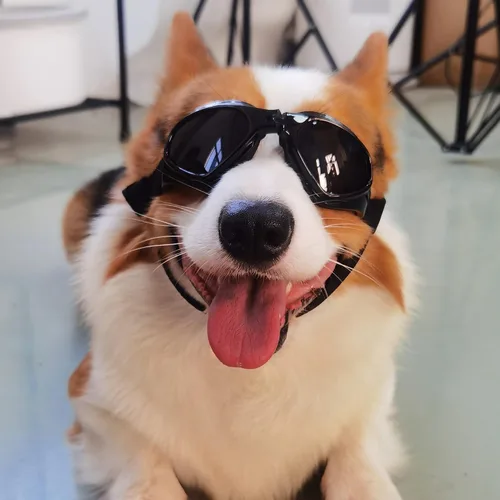 Vista 8 de Gafas de sol para perros pequeños, protección UV, resistentes al viento, gafas de sol para mascotas pequeñas para protección de los ojos