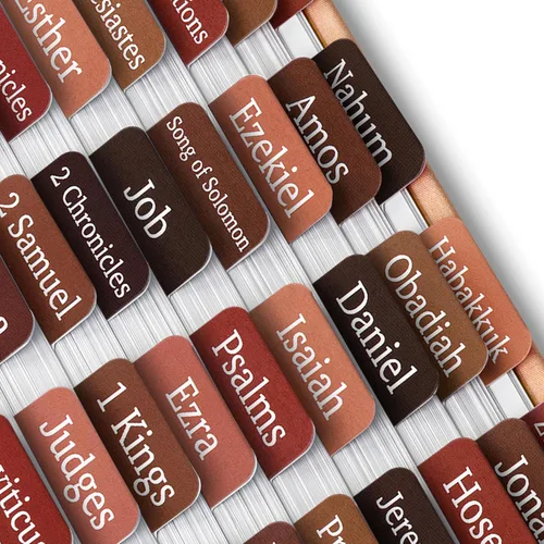 Vista 40 de Mr. Pen - Pestañas de la Biblia, 75 pestañas, tierra otoñal, letras doradas en relieve Laminated Bible Tabs for Women and Men, Bible Tabs for