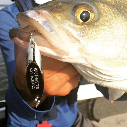 Vista 4 de Acme Kastmaster - Señuelo de pesca martillado dorado, 1 onza