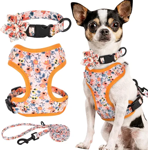 Vista 16 de Beirui Lindo juego de collares, arneses y correas para perro hembra, juego de collar y correa ajustable con flor - Arnés de malla suave para Azul