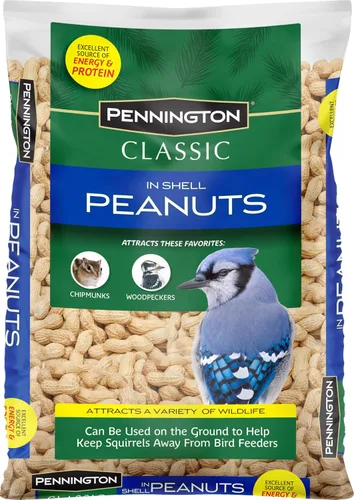 Vista 21 de Pennington - Pride Wild Finch - Mezcla de semillas para pájaros silvestres, 10 libras For outside feeders, special mix for a variety of musical &