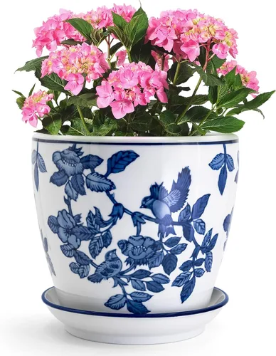 Vista 9 de HakkaGirl Chinese - Pequeña maceta de porcelana azul y blanca.