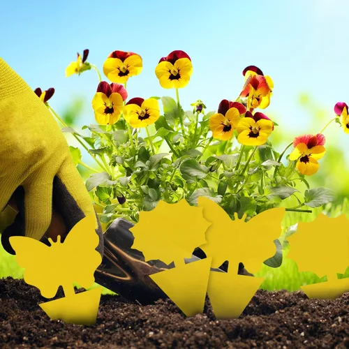 Vista 8 de Landisun Trampas para moscas de fruta, 48 unidades, trampas para mosquitos de hongos para interiores y exteriores, trampas adhesivas para moscas