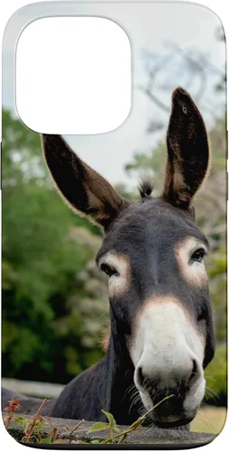 Vista 10 de Funda Donkey para iPhone 17