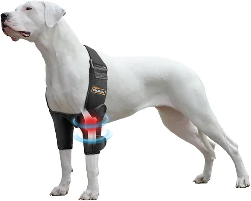 Vista 7 de CHAMIN Codera para perro para hombro y pierna delantera, almohadillas protectoras de codo de perro para higroma, artritis, displasia, úlceras por