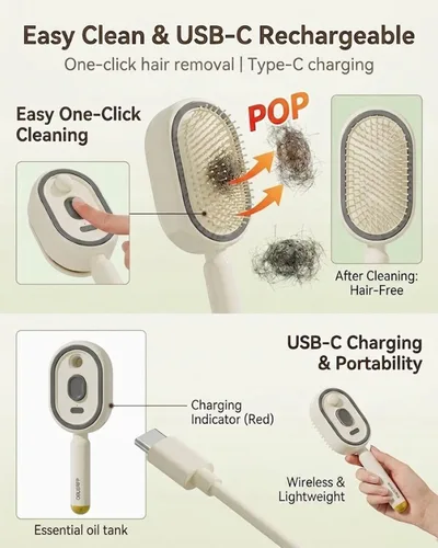 Vista 5 de Steam Hair Brush, 2 in 1 Electric Spray Detangling Comb, Hot Air Straightener and Flat Iron, Rechargeable Nano Mist Heated Salon Styling Tool, Anti