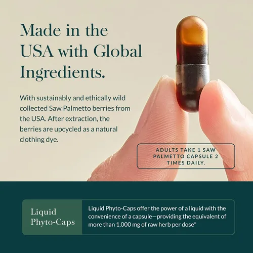 Vista 4 de Gaia Herbs Saw Palmetto - Apoya la función saludable de la próstata y la salud urinaria - Saw Palmetto y lecitina de semillas de girasol para apoyar