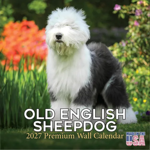 Vista 92 de Calendario de Lebrel Afgano 2025 2026, calendario mensual de pared de raza canina, 12" x 18" abierto, papel grueso sin traspaso, ideal para regalo
