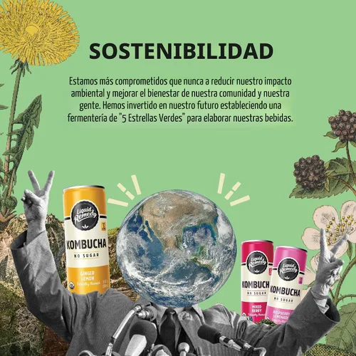 Vista 5 de Liquid Remedy Kombucha - Bebida orgánica sin azúcar, baja en calorías, té probiótico para la salud intestinal, paquete variado de favoritos