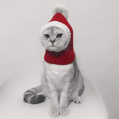 Vista 4 de POPETPOP Sombrero de Navidad para perro, divertido gorro de ganchillo para perro, rojo, cálido, para invierno, gorro de punto para el cuello