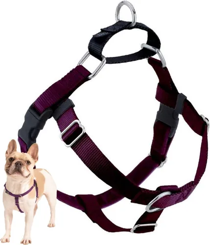 Vista 12 de 2 Hounds Design Freedom - Arnés para perro sin tirones, arnés ajustable, fácil de caminar y control cómodo, se adapta a perros pequeños, medianos
