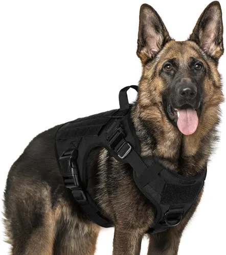 Vista 40 de rabbitgoo - Arnés táctico para perros pequeños, arnés resistente para mascotas con asa, chaleco de servicio sin tirones para razas pequeñas, chaleco
