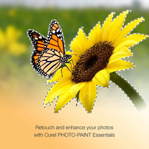 Vista 4 de [Old Version] CorelDRAW Essentials 2021 Graphics Design Software for Occasional Users Illustration, Layout, and Photo Editing [PC Disc]