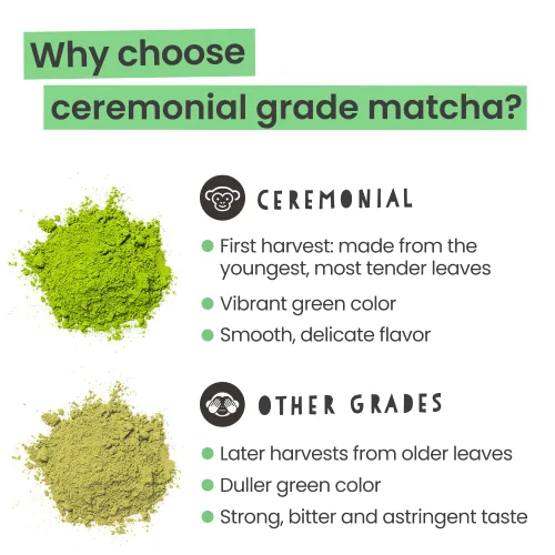 Vista 9 de PureChimp Polvo de matcha de grado ceremonial, 1.75 onzas. Té japonés puro de grado ceremonial matcha cultivado en sombra en Kagoshima. Polvo de té
