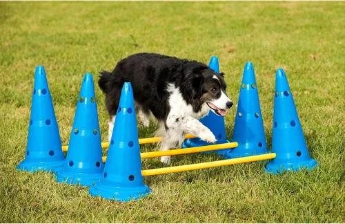 Vista 7 de Midlee Dog Cono & Pole Agility Set de 3 Perros grandes a pequeños ajustables, mascotas de juego en el patio trasero