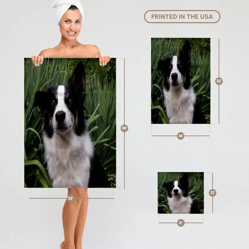 Vista 6 de 3dRose Border Collie 2 22x30 Bath Hand Pool Towel