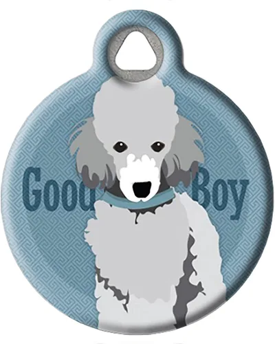 Vista 18 de Good Boy Airedale - Etiqueta de identificación personalizada para mascotas para perros y gatos, tamaño grande Airedale Good Boy