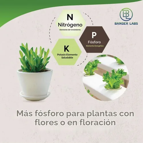 Vista 5 de Kit de nutrientes hidropónicos: cultiva, florece, micro alimento para plantas para cultivar verduras, frutas, flores, hierbas para suelo