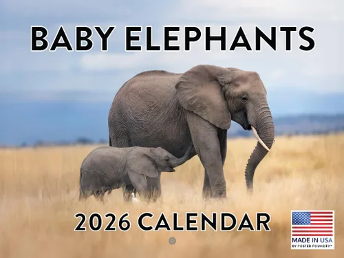 Vista 12 de Calendario mensual de pared de alpaca 2025 Fabricado en Estados Unidos