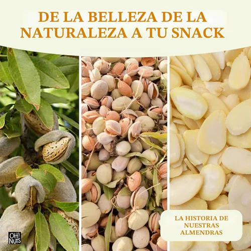 Vista 6 de Oh! Nuts Almendras en rodajas blanqueadas, 1.5 lb - Crudo, calidad premium