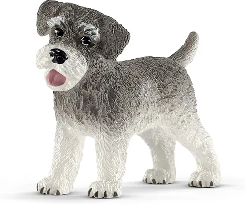 Vista 9 de Schleich Farm World - Figura de perro de juguete Bichon Frise - Juguetes de animales de granja para niños y niñas - Niños a partir de 3 años