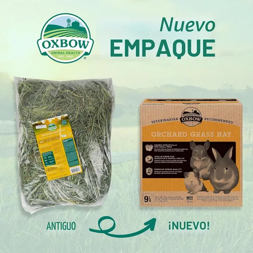 Vista 3 de Oxbow Heno de huerto, conejo y conejillo de indias, clasificado a mano, desempolvado, 9 lb
